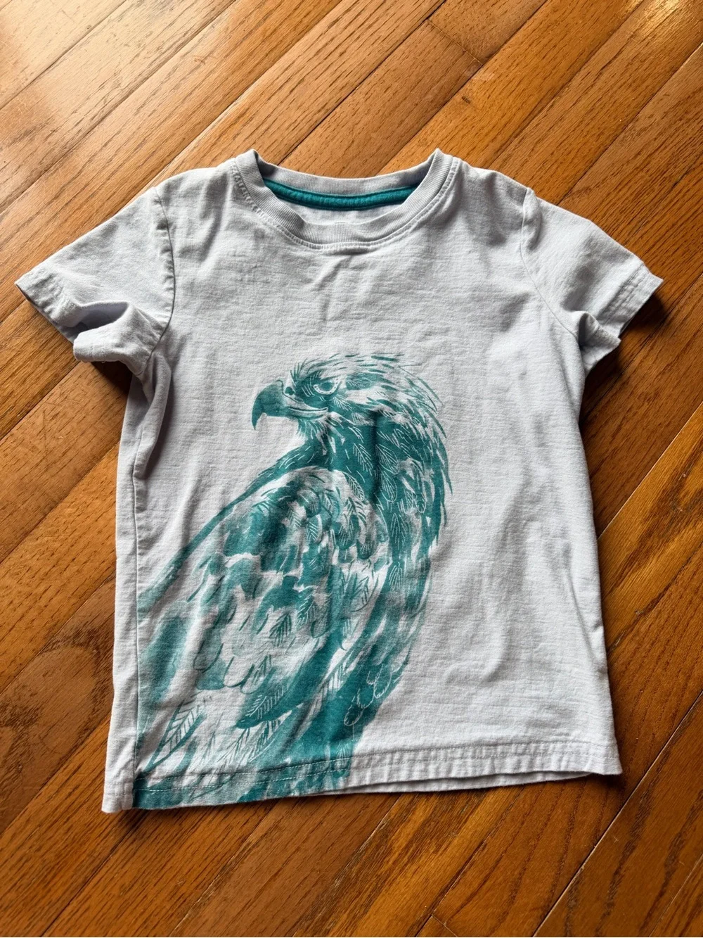 Tea collection Light Purple Grey, Eagle Hawk Graphic Tee